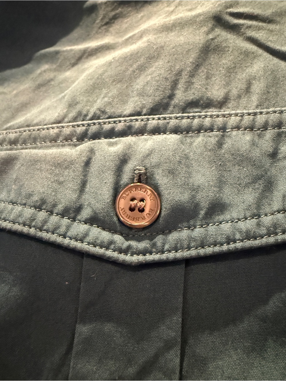 Burberry Brit Teal Button-Down Shirt - Picture 4 of 9